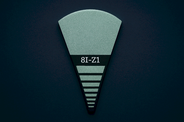 8I-Z1