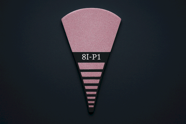 8I-P1