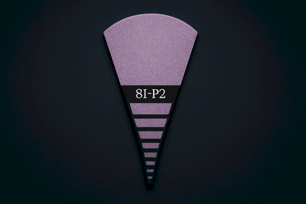 8I-P2